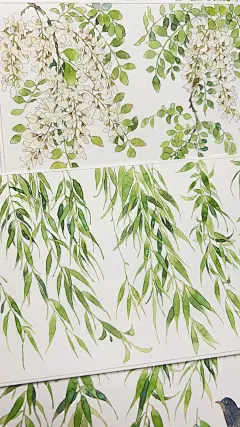 我画的胶带-四时歌 出成品啦！ - 小红书