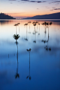 Photograph The Family by Christopher Padilla on 500px