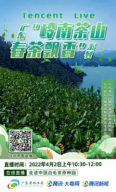 林业局岭南茶山直播系列-海报