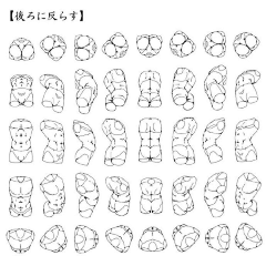 深海奥里昂采集到教程 人体结构