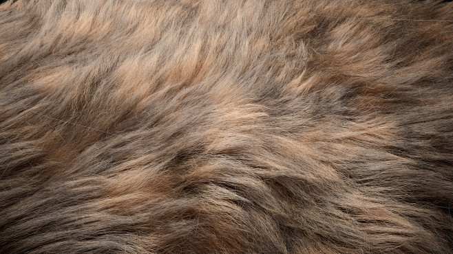 andrew-krivulya-fur-...