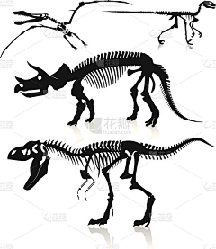 用户RdjFiJVU采集到LOGO