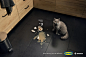 谁家的“坏”小猫？居然登上了宜家的新广告 | TOPYS创意内容平台