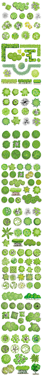 灌木树丛手绘俯视园林景观设计素材 25组 EPS矢量素材 #网页设计# #平面设计#素材