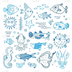 可爱的,海星,龙虾,绘画插图,水下,乱画,鱼类,轮廓,海洋,海草