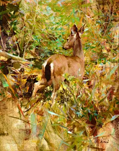 RICHARD SCHMID 插画作品欣赏