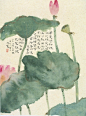【林曦水墨】 荷 限量签名 宣纸复刻-淘宝网