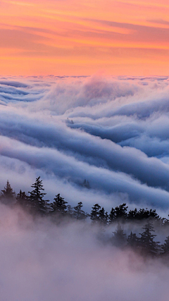 章鱼泡椒采集到背景