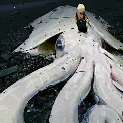 微博 – 随时随地发现新鲜事