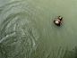 April 10，2014
孟加拉国达卡，冬日的早晨，几个男孩在河里游泳玩耍。