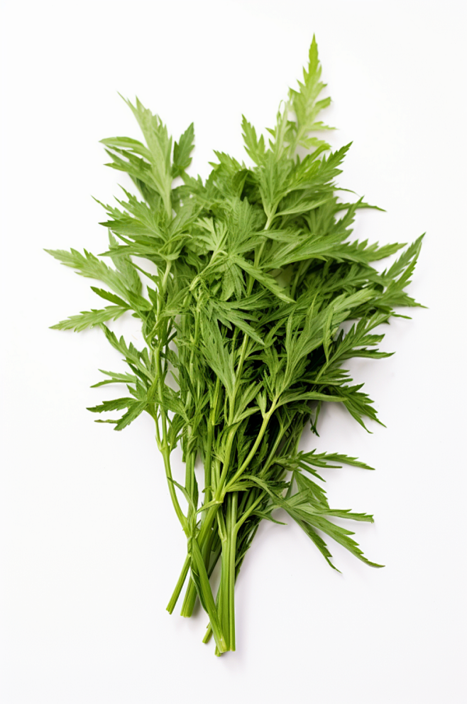 AI数字艺术植物草药艾草图片-众图网