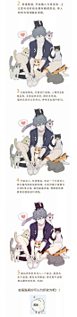 猫咪