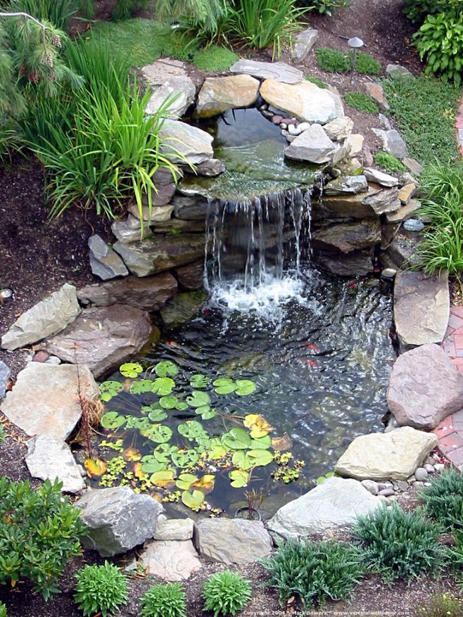 Backyard pond - movi...