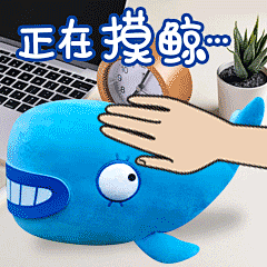 神鲸嘻嘻表情包