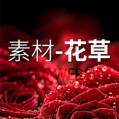 amber-PA采集到背景-花草