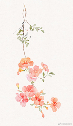 梅骨朵儿采集到插画～花草