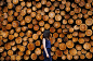 Log Girl by Tsuyoshi Hasegawa on 500px