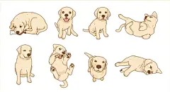 拉布拉多犬插画矢量图设计素材