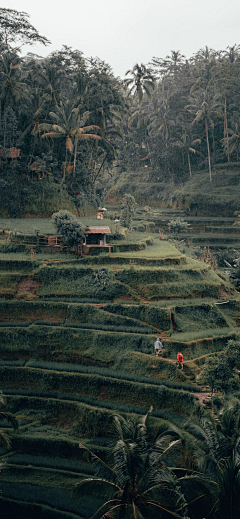 莫小鱼哥采集到风景