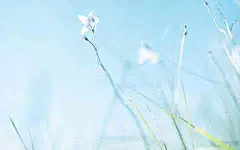 电脑壁纸小清新大图_百度图片搜索