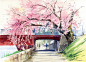 山寺桃花始盛开。丨来自日本画家Osamu Shibata。