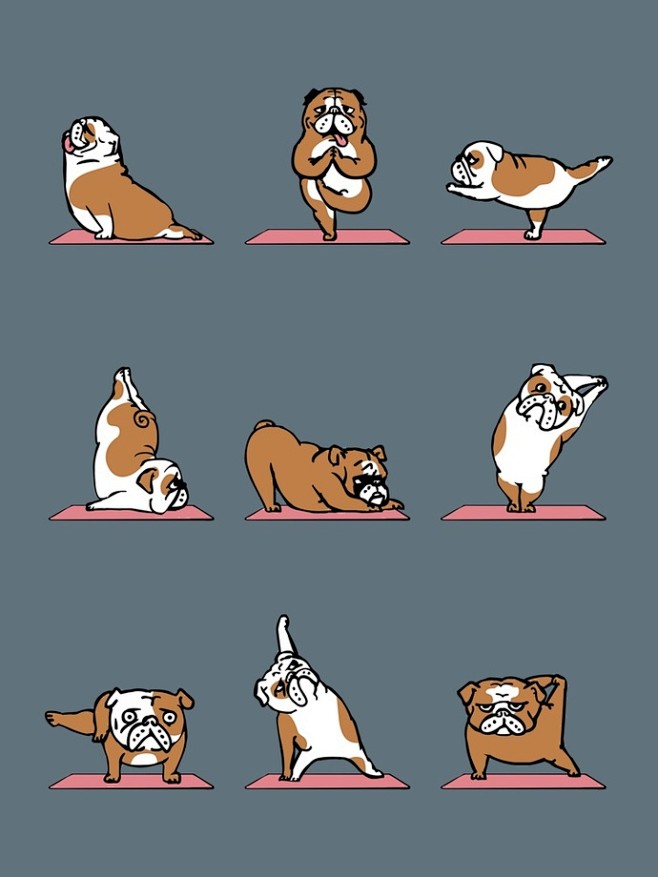 English Bulldog Yoga...