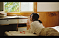 #CNU摄影作品推荐#  <br/>头顶的叶子把阳光挡住 投下的影子摇晃记忆<br/>摄影：@王白而<br/>更多大图移步:O网页链接 ​​​​