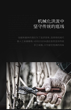 gnemeel采集到红酒