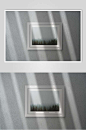 相框树林灰白色光影场景VI样机-众图网