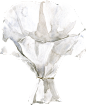 水彩清新花卉植物LOGO图标婚礼海报装饰透明免抠PNG图案装饰素材 (12)