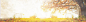 1920全屏海报淘宝天猫banner电商交流群高清素材 1920全屏海报 淘宝天猫banner 电商设计交流群318860393 背景 设计图片 免费下载