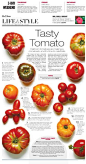 Take a wire photo and illustrate your tomato primer.