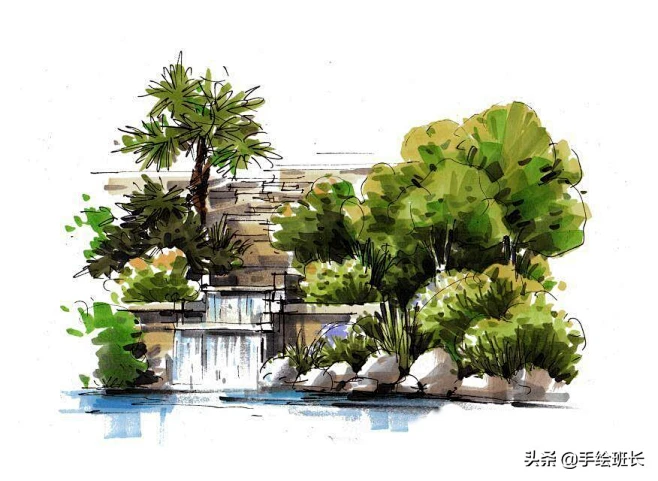 景观手绘植物的马克笔表现-花瓣网