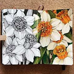 线稿 - 高清图片，堆糖，美图壁纸兴趣社区