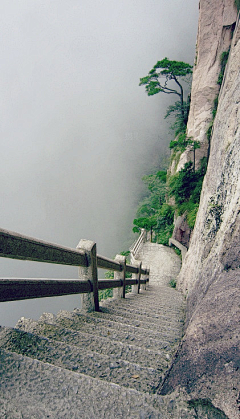 涧谷采集到寻美旅程：行途之阶