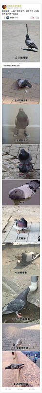 来自分享