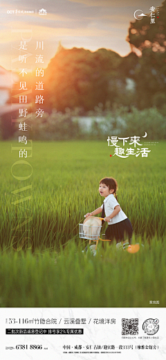 夏有乔木雅望采集到简约