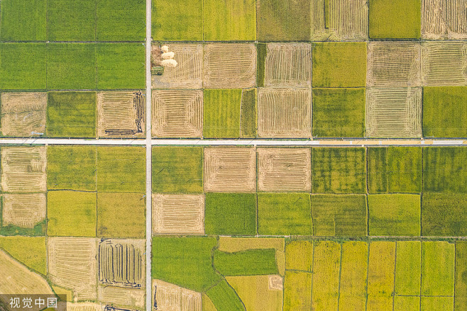 VCG211253105976