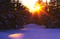 Sun forests landscapes winter wallpaper (#115771) / Wallbase.cc