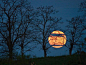 超级月亮。5月5日，在纽约阿克赖特上空，一轮超级月亮熠熠生辉。因为月球的椭圆形公转轨道，月球一年之中总有那么几次位于轨道的近地点-那是月球距离地球最近的时候。相应地，当月球位于远地点的时候，月球距离地球最远。“超级月亮”这个词诞生于1979年，用来形容月球到达近地点和月相满月同时发生时候人们看到的月亮，这种情况平均来说一年发生一次。