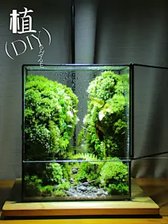 客订峡谷风景观 - 小红书