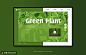 树叶重叠清新自然绿色植物春季网站海报 APP界面 摄影旅游