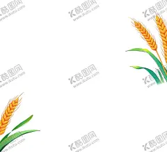 小麦手绘 【酷图网】植物,小麦,手绘,素材,插画,粮食