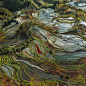 YuanYang China Rice Terraces by William Faivre on 500px