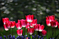 engin basa在 500px 上的照片ışık