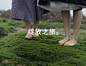 首页-绽放旅行女装-淘宝网