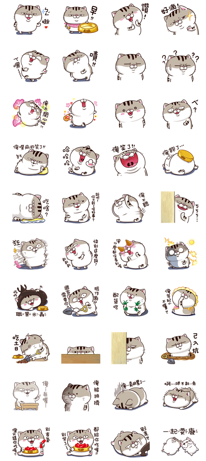 A cute little cat is...