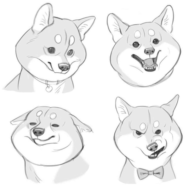 Shiba dog, miji lee ...