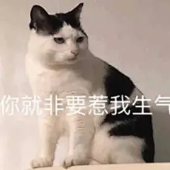 『可爱阿猫阿狗表情包』 图源网络 可补充至评论区 素质取图！！！ - 堆糖