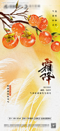 编号：20221013095650113【享设计】源文件下载-地产二十四节气霜降海报